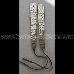 Silver Jugulars chin scales...