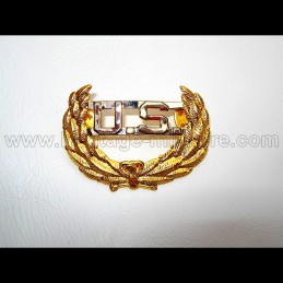 US Laurel metal badge civil...