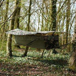 Jungle hammock woodland