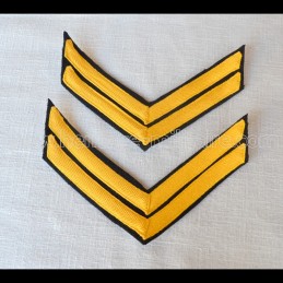 Union cavalry chevrons...