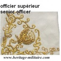 Leather gauntlets embroidered for officiers