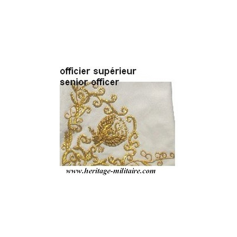 Leather gauntlets embroidered for officiers