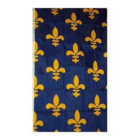 Ecusson Royaume De France Fils Or. Blason Brod&eacute;