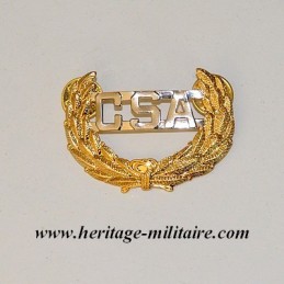 Metal insignia "pin's fixing"