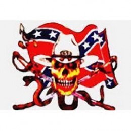 Cavalry Snake Skull flag