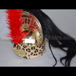 French Officer's helmet Dragon mod 1805 N1er