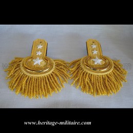 Officer parade shoulder scales golden with fringes 1832 - 1871 USA