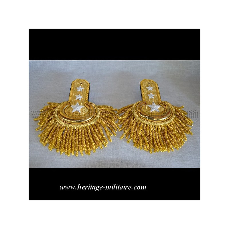 Officer parade shoulder scales golden with fringes 1832 - 1871 USA