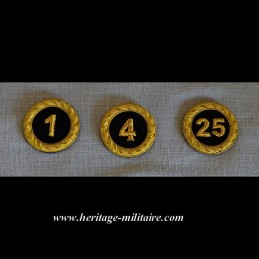 Épaulettes d'officier de parade dorées à franges 1832-1871 USA