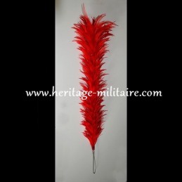 feather 50 cm destocking